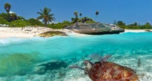 Nel cuore di Zanzibar ... l'affascinante Stone Town!